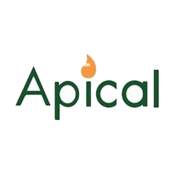 Apical